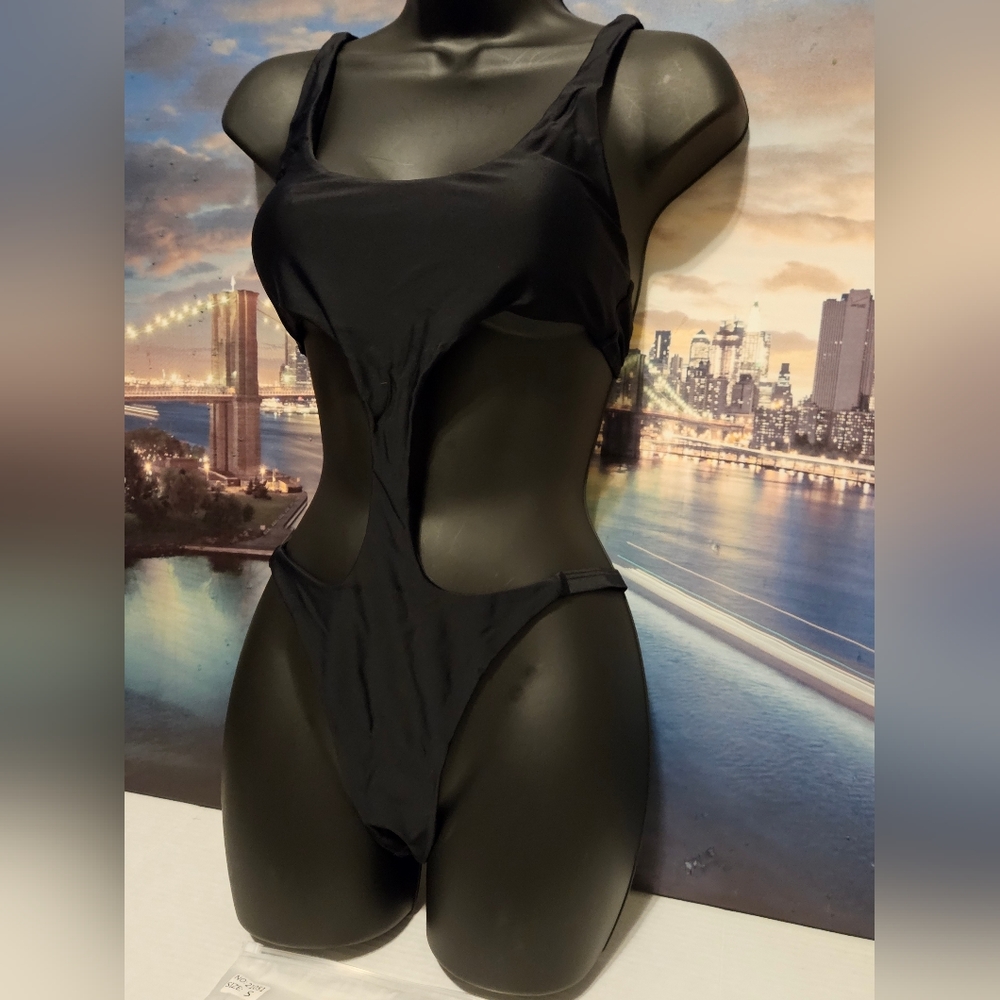 Matte One Pc Swimwear